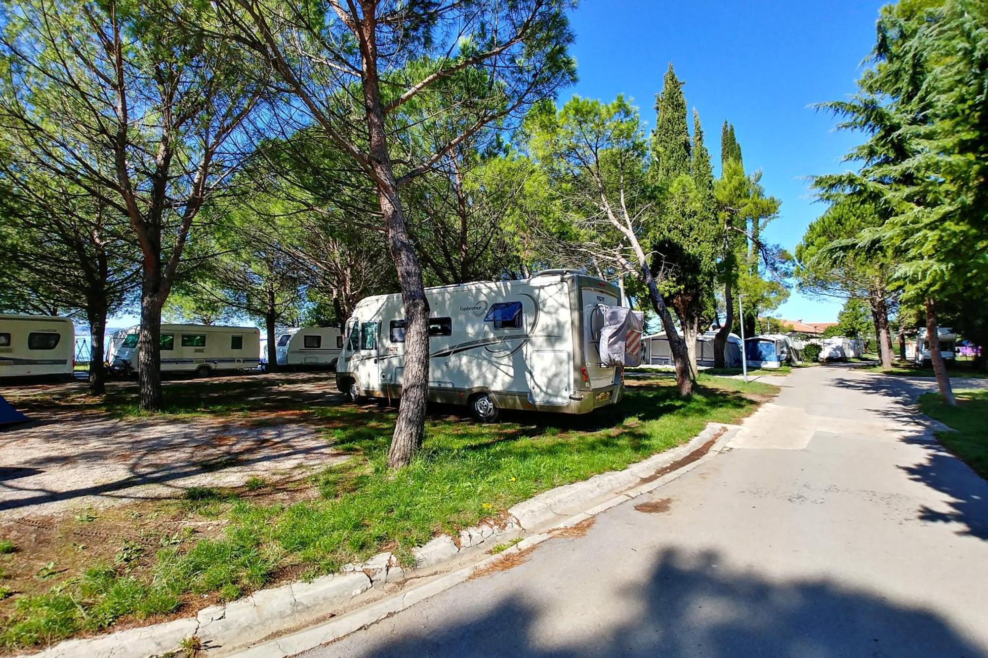 Camping Adria Ankaran - Pitches מראה חיצוני תמונה