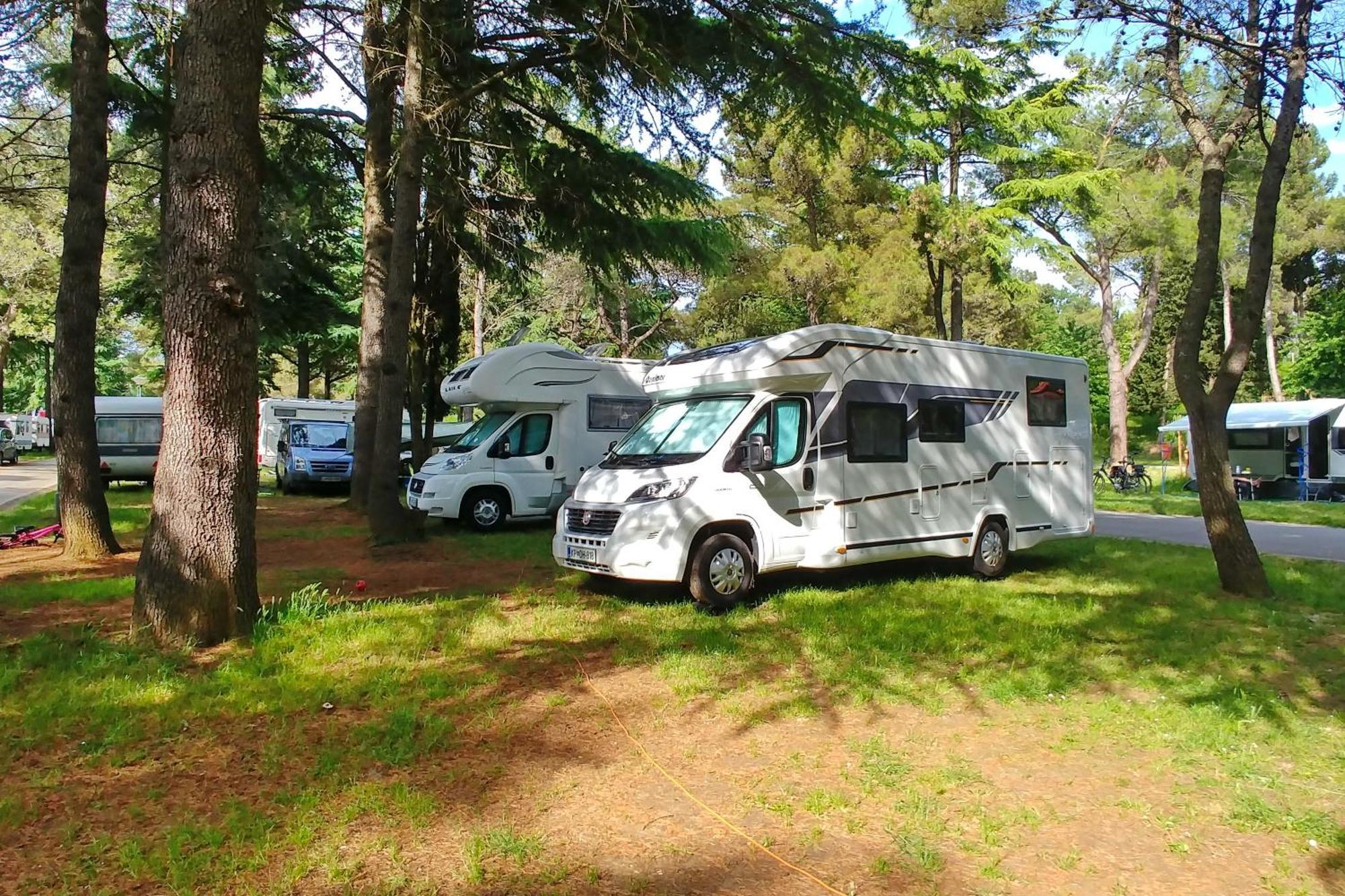 Camping Adria Ankaran - Pitches מראה חיצוני תמונה