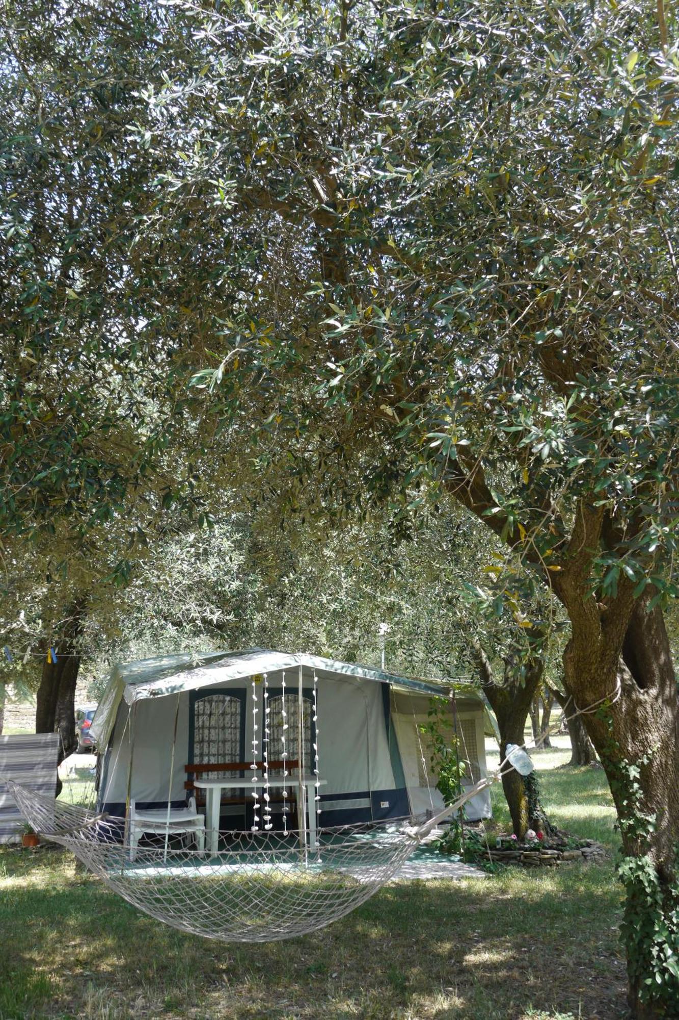 Camping Adria Ankaran - Pitches מראה חיצוני תמונה