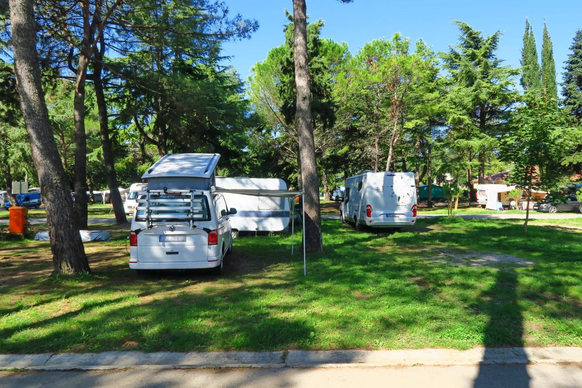 Camping Adria Ankaran - Pitches מראה חיצוני תמונה